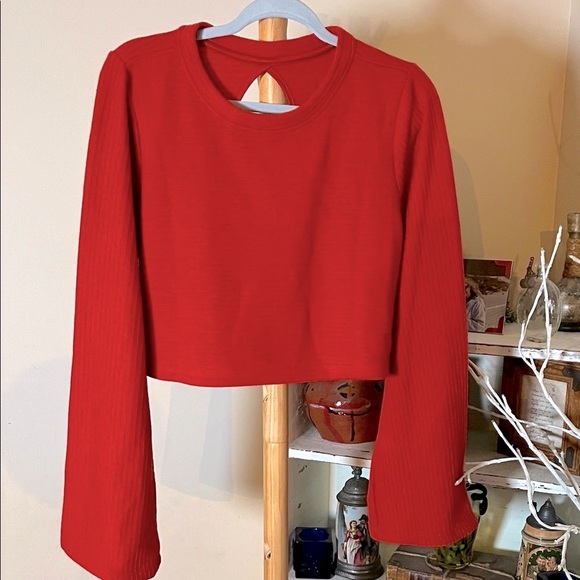 NWT Band of the Free L Red Wide Ribbed Crop Sweater.Wide bell sleeves.Open Back. - Picture 1 of 6